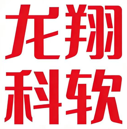 龙翔科软标志